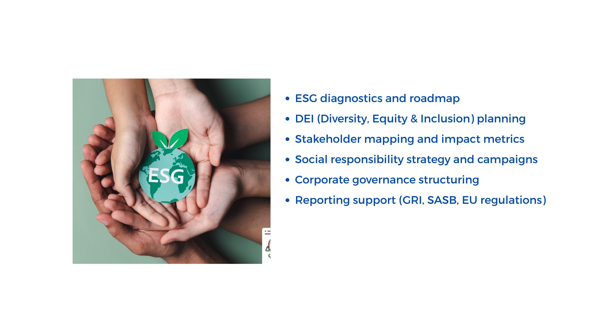 ESG Strategy
